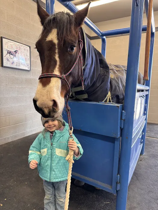 Stone Ridge Equine Care Picture 7