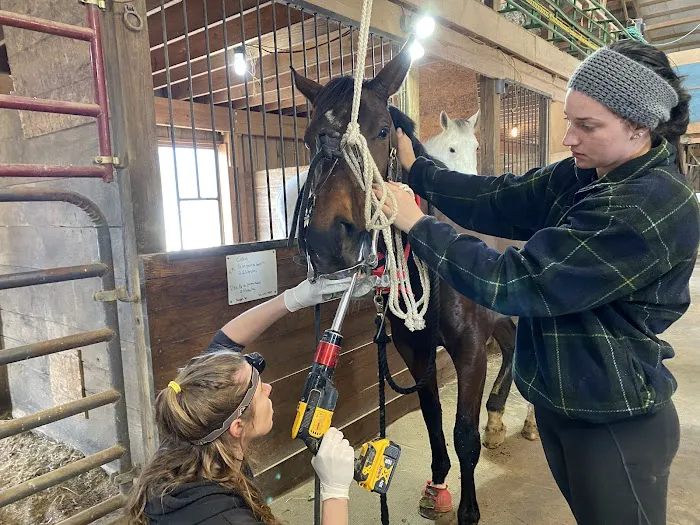 Stone Ridge Equine Care Picture 9
