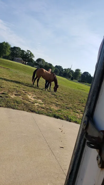 Stone Ridge Equine Care Picture 1