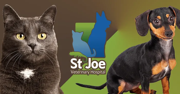 St Joe Veterinary Hospital, Inc Picture 6