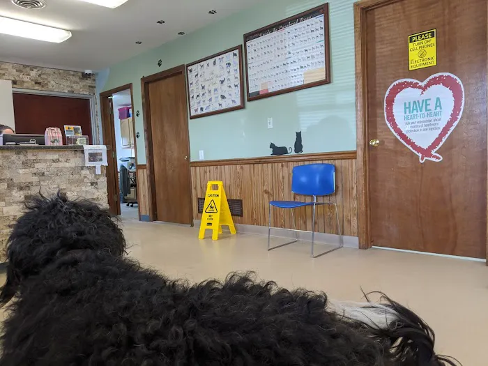 St Joe Veterinary Hospital, Inc Picture 1