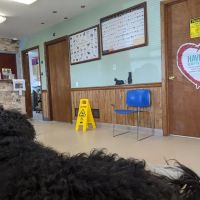 St Joe Veterinary Hospital, Inc ico