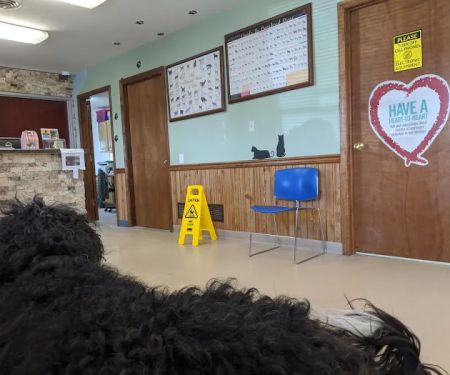 St Joe Veterinary Hospital, Inc