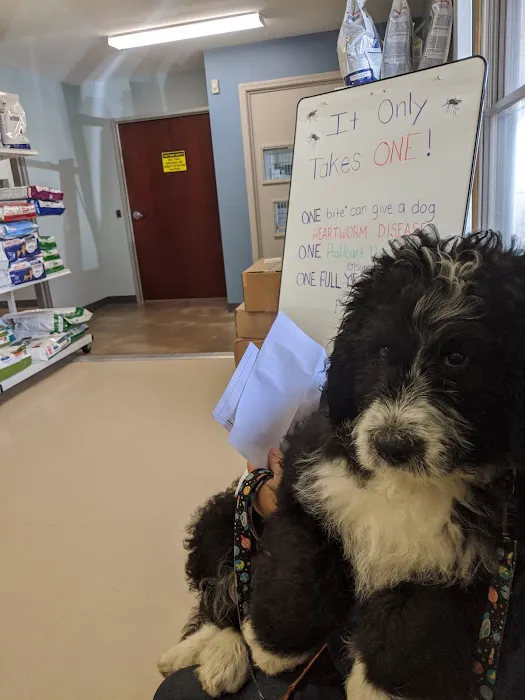 St Joe Veterinary Hospital, Inc Picture 2