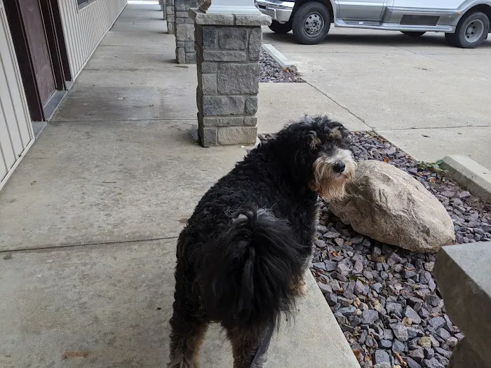 St Joe Veterinary Hospital, Inc Picture 3