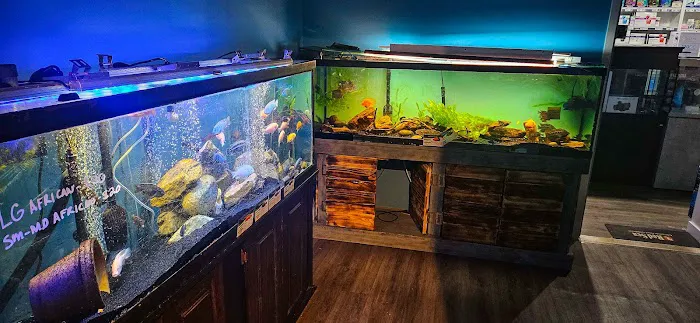 Whitlyn Aquatics, LLC Picture 6