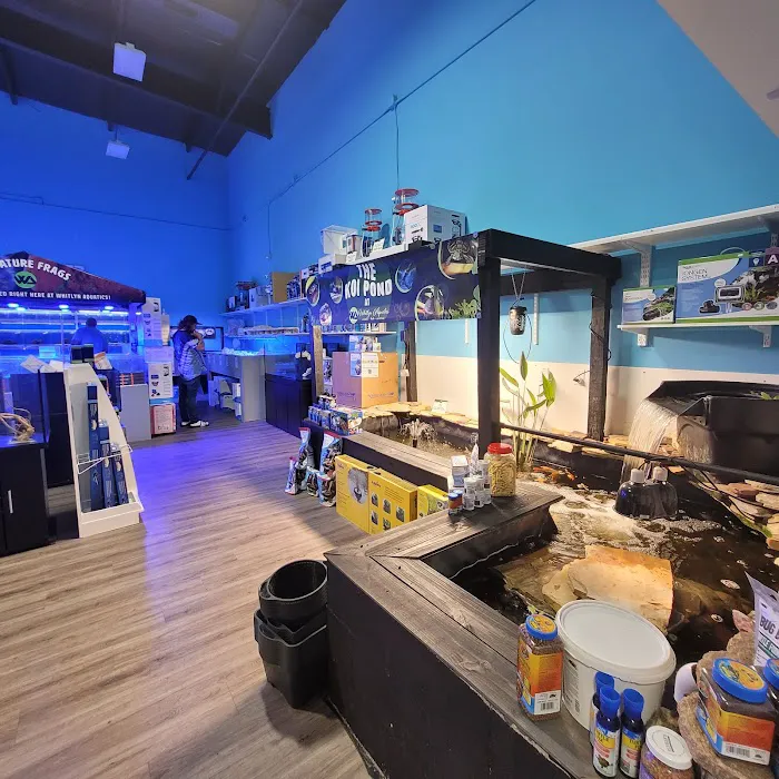 Whitlyn Aquatics, LLC Picture 4