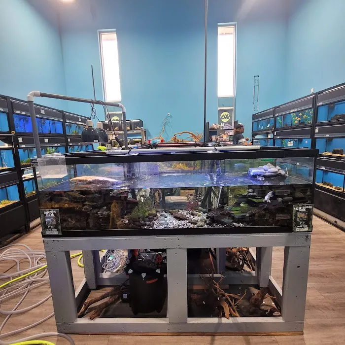 Whitlyn Aquatics, LLC Picture 2