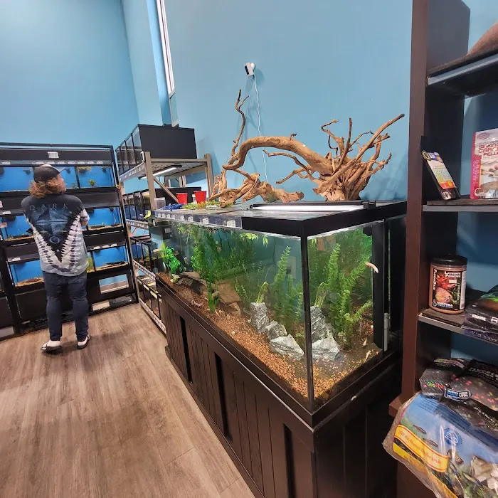 Whitlyn Aquatics, LLC Picture 7