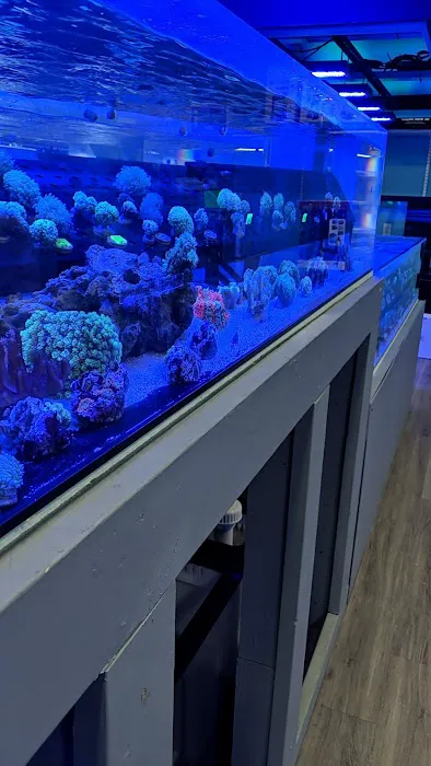 Whitlyn Aquatics, LLC Picture 5