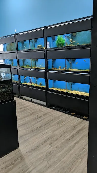 Whitlyn Aquatics, LLC Picture 1