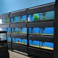 Whitlyn Aquatics, LLC ico