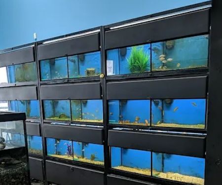 Whitlyn Aquatics, LLC