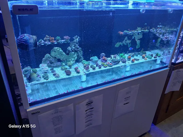 Grassman Reef LLC Picture 6
