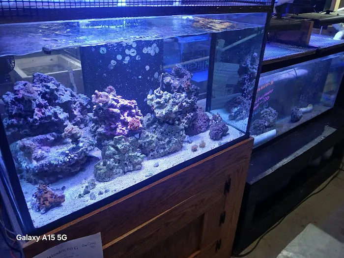 Grassman Reef LLC Picture 7