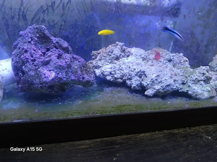 Grassman Reef LLC Picture 1