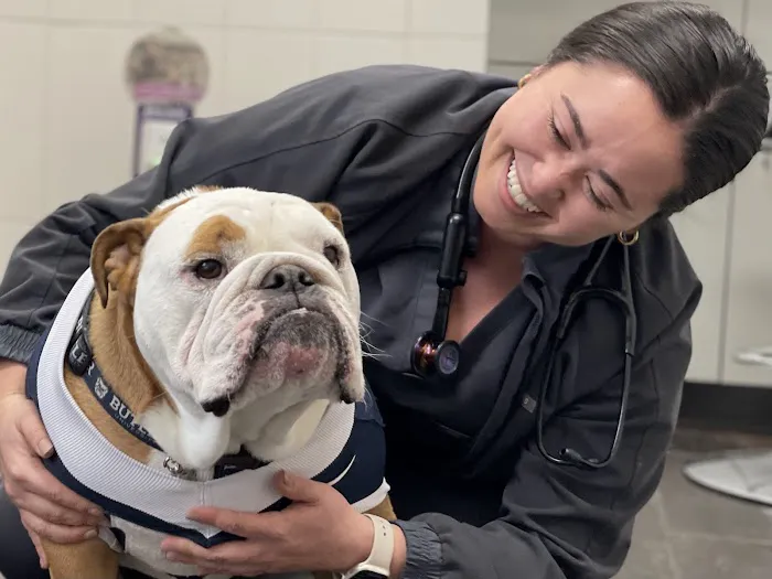 City Way Animal Clinics - Fountain Square Picture 3