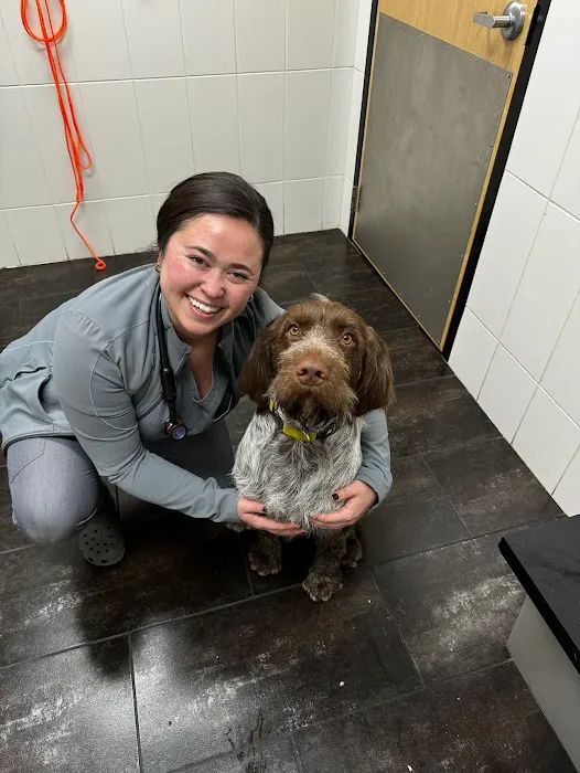 City Way Animal Clinics - Fountain Square Picture 9