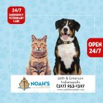 Noah's Animal Hospital & 24 HR Emergency Center