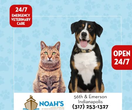 Noah's Animal Hospital & 24 HR Emergency Center