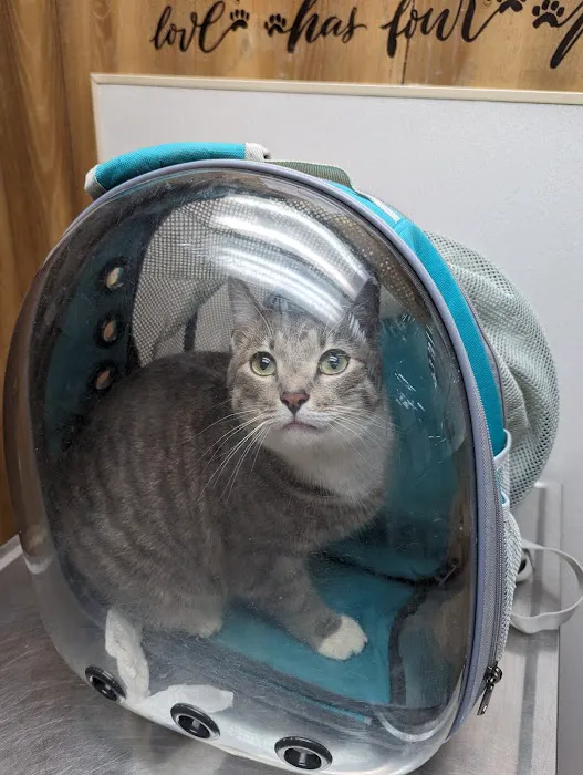 Keystone Pet Hospital Picture 4