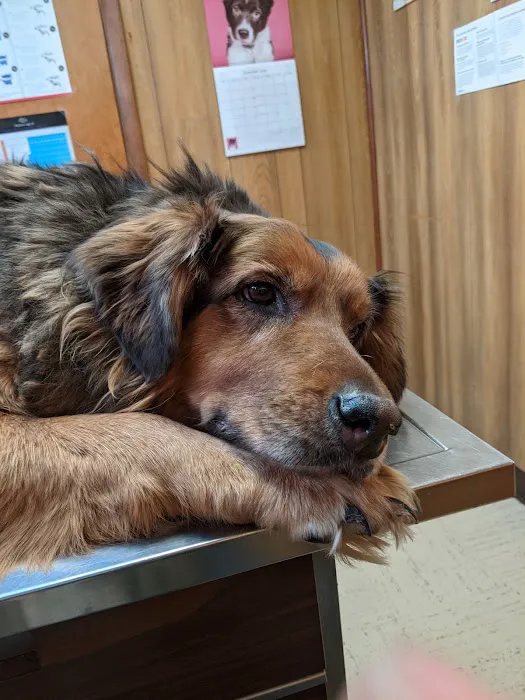 Keystone Pet Hospital Picture 10