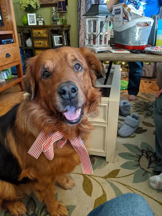 Keystone Pet Hospital Picture 8