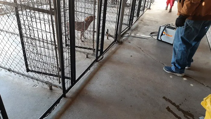 Keystone Pet Hospital Picture 1