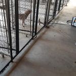 Keystone Pet Hospital