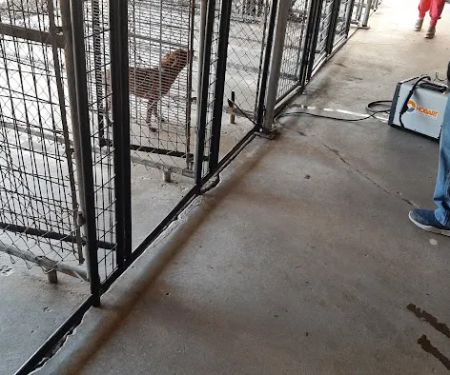 Keystone Pet Hospital