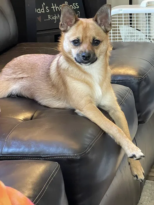 Keystone Pet Hospital Picture 7