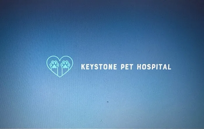 Keystone Pet Hospital Picture 9