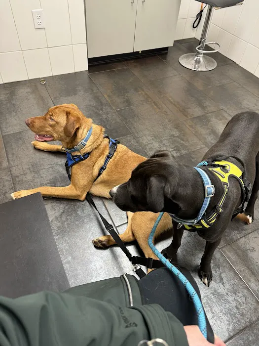 City Way Animal Clinics - Mass Ave Picture 8