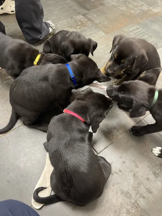 City Way Animal Clinics - Mass Ave Picture 1