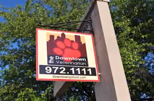 The Downtown Veterinarian Picture 3
