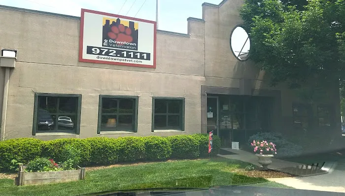 The Downtown Veterinarian Picture 10