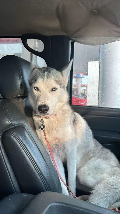 Indianapolis Animal Urgent Care Picture 1