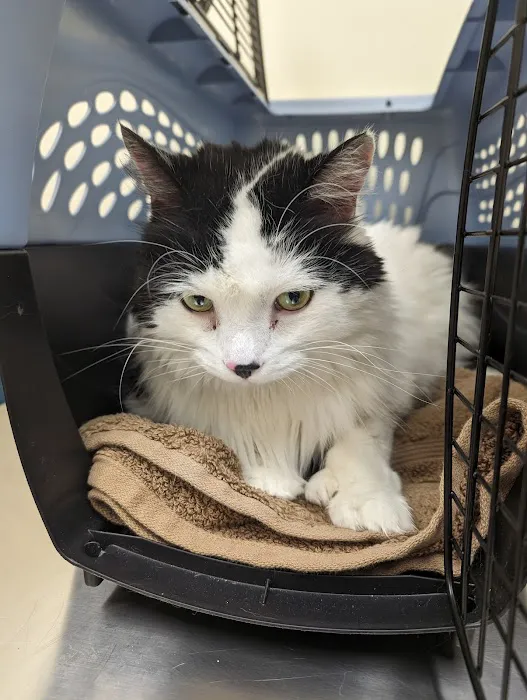Indianapolis Animal Urgent Care Picture 7