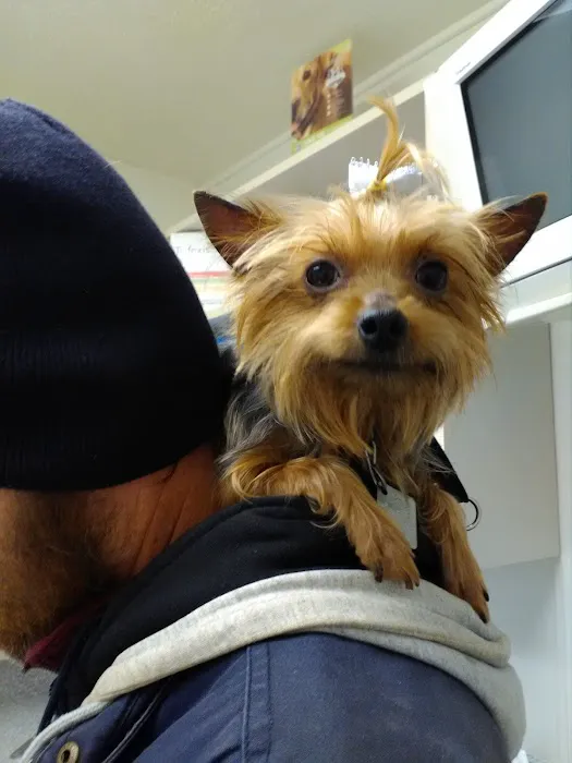 Chesterfield Animal Hospital Picture 4