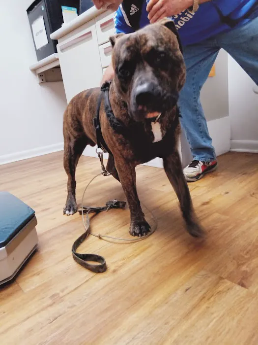 Devonshire Veterinary Clinic: Smiley Aaron DVM Picture 2