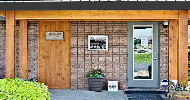 Devonshire Veterinary Clinic Picture 7