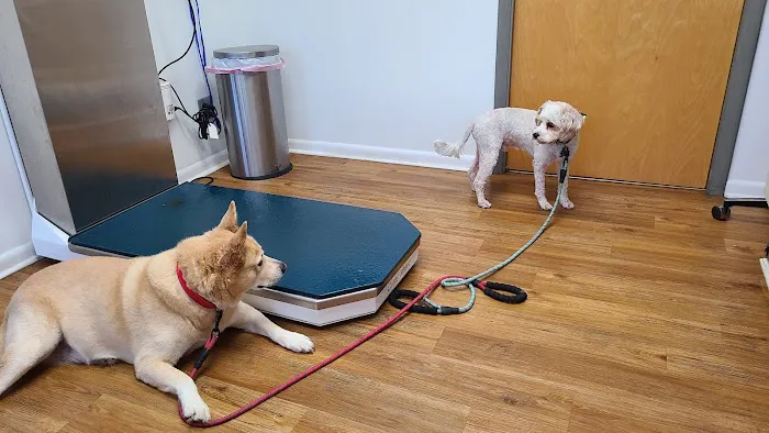 Devonshire Veterinary Clinic Picture 2