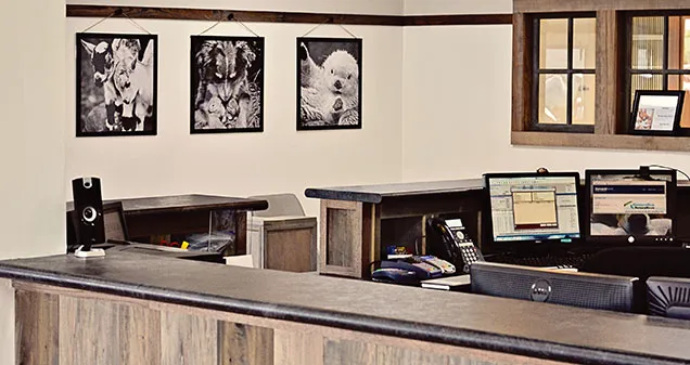 Devonshire Veterinary Clinic Picture 8