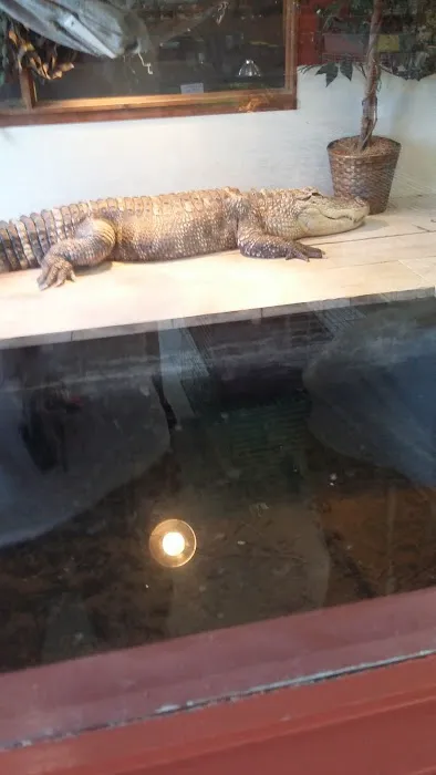 Night Stalkers Pet Emporium Picture 3