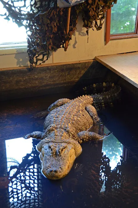 Night Stalkers Pet Emporium Picture 1