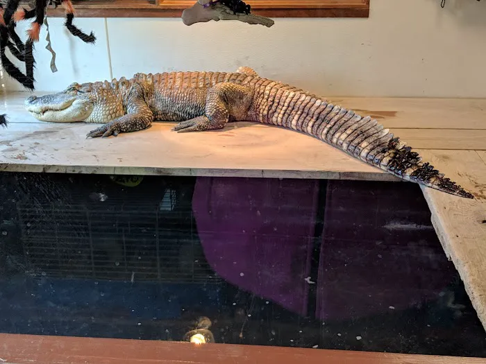 Night Stalkers Pet Emporium Picture 10