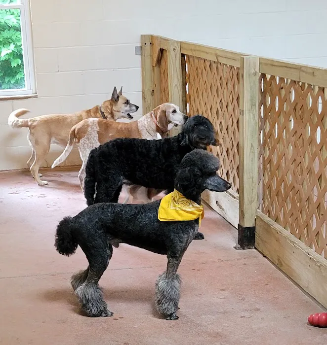 Eastgate Animal Hospital Picture 5