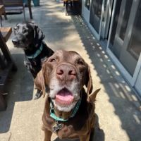 Eastgate Animal Hospital ico