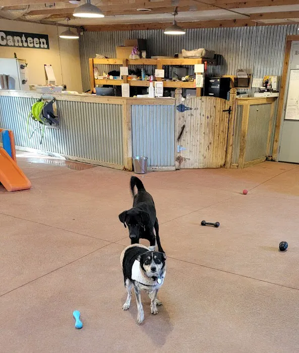Eastgate Animal Hospital Picture 2