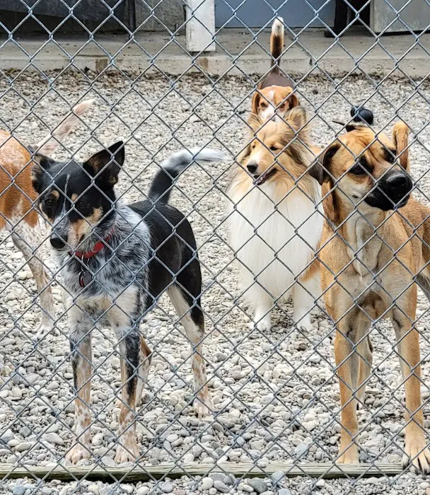 Eastgate Animal Hospital Picture 10